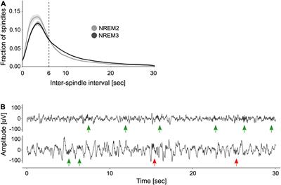 <mark class="highlighted">Visuomotor Adaptation</mark> Modulates the Clustering of Sleep Spindles Into Trains